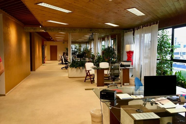 Helles Büro mit gepflegtem Teppichboden und Schreibtischen nach professioneller Unterhaltsreinigung durch Glanzwerk in Schöningen